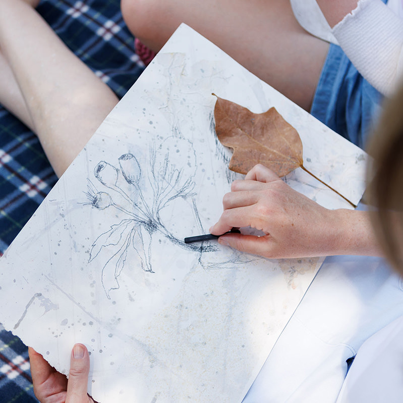 Person sketching botanical seed pod on her lap in charcoal.